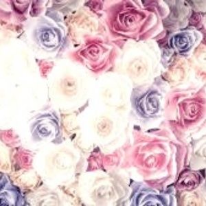 Meet your Posher, Abie